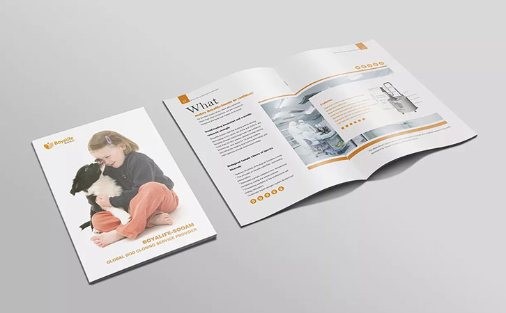 画册设计公司介绍在设计企业宣传画册时用到的术语